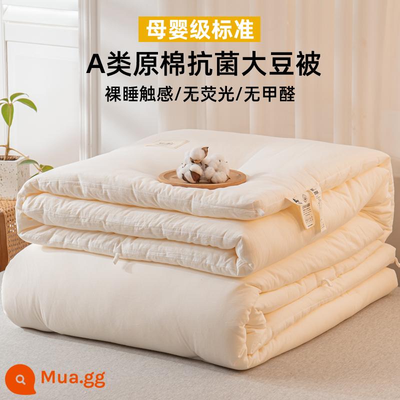 Chăn sợi đậu nành cotton nguyên chất loại A cho bốn mùa - Một loại bông thô đã giặt chăn bông đậu nành