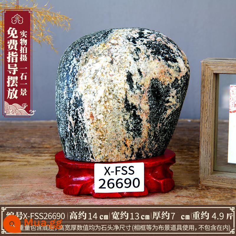 Taishan Stone Gandang nhượng quyền thương mại hàng đầu đích thực trang trí đá gốc trong nhà và ngoài trời khắc đá trang trí văn phòng nhỏ - X-FSS26690