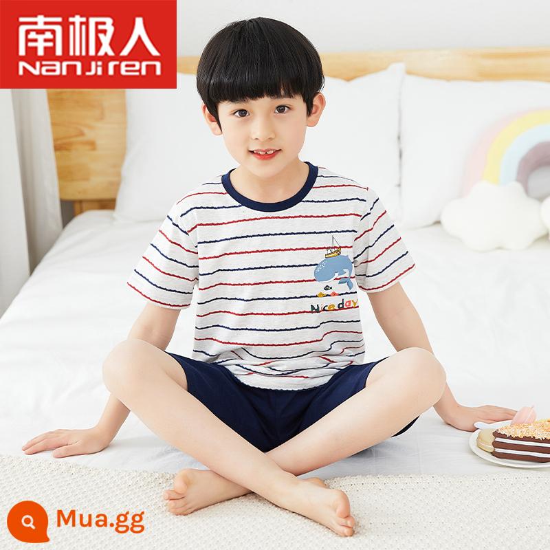 Bộ đồ ngủ trẻ em bé trai cotton ngắn tay mùa hè phần mỏng bé trai 12-15 tuổi trung và lớn phù hợp với dịch vụ gia đình mùa hè - Tay ngắn sọc cá voi hải quân