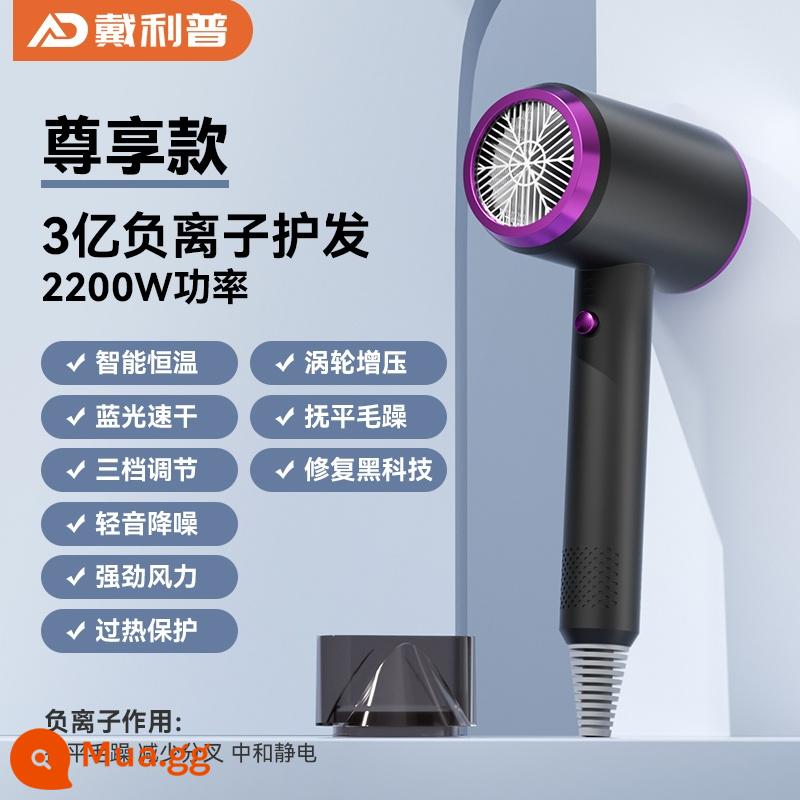 Máy sấy tóc sinh viên ký túc xá máy sấy tóc gia đình ion âm chăm sóc tóc 2021 new small power girls small - Starry Sky Grey [Mẫu độc quyền công suất cao] 2200W + 300 triệu cấp độ chăm sóc tóc ion âm + xoăn mềm