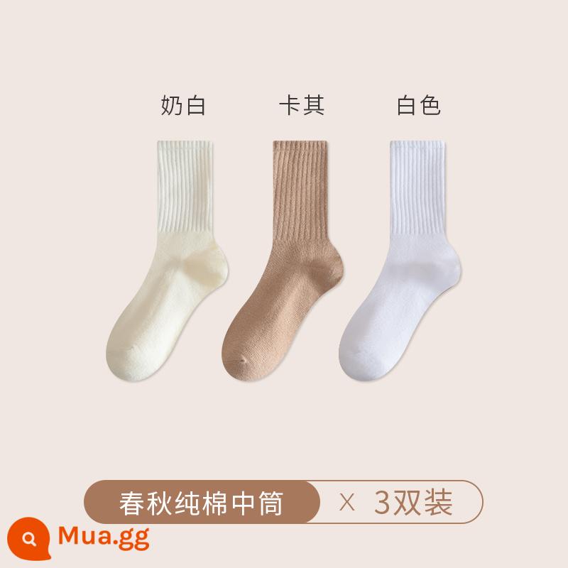 Vớ vào mùa thu và mùa đông tất cả vớ sock vớ nam màu đen và trắng không xương - [3 đôi] trắng sữa + trắng + kaki