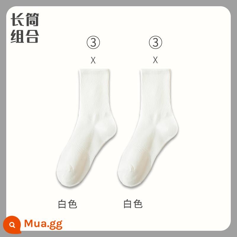 Vớ cotton nam Mid -Autumn Mid -Mid -Worn Sports Sports Long Long Winter Men's Peated Color - "Ống dài" trắng 6 đôi