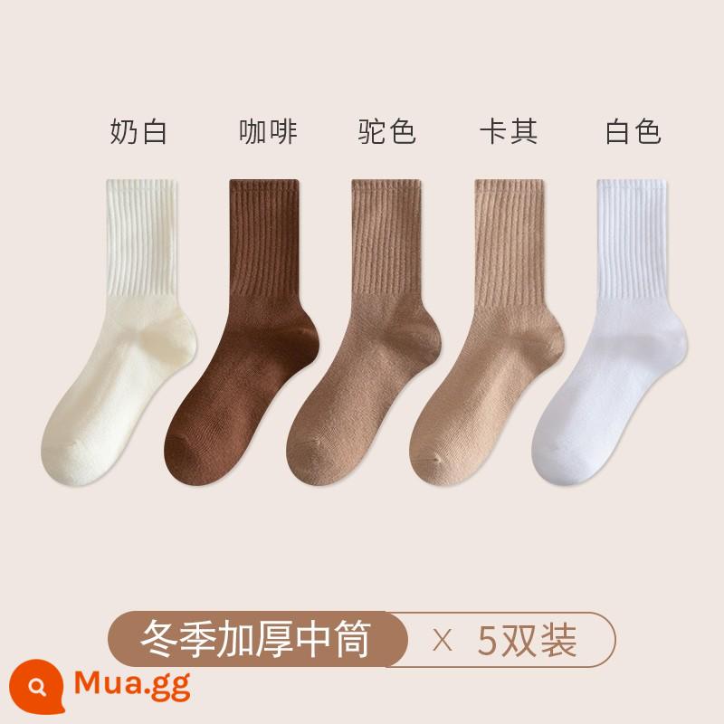 Chu Kỵ Tất Nam Mùa Đông Cổ Cotton Nguyên Chất Cotton Khử Mùi Ống Dài Màu Trắng Thu Đông Cotton Dày Ống Tất - [5 đôi thun dày] trắng sữa + cà phê + lạc đà + kaki + trắng