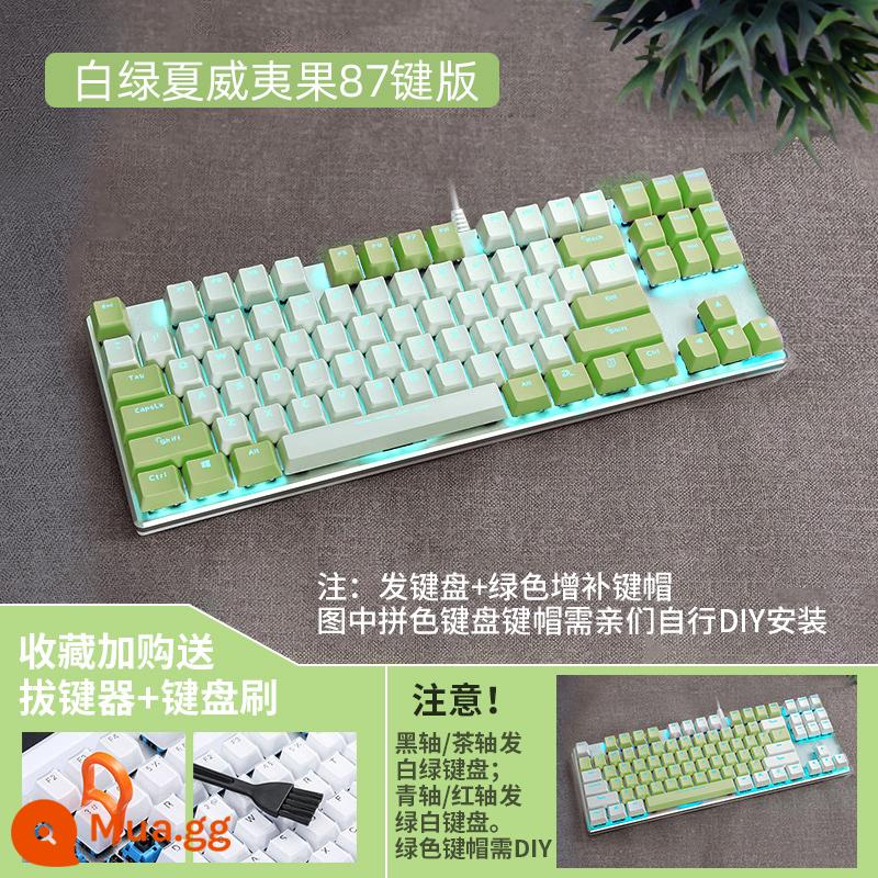 Daryou EK815 Hawaiian Green chủ đề Máy máy máy móc Bàn phím đen TEA ĐEN XAN Đen Trà Shax Game 87/108 Key - Phiên bản có dây 87 phím màu xanh lá cây nguyên bản