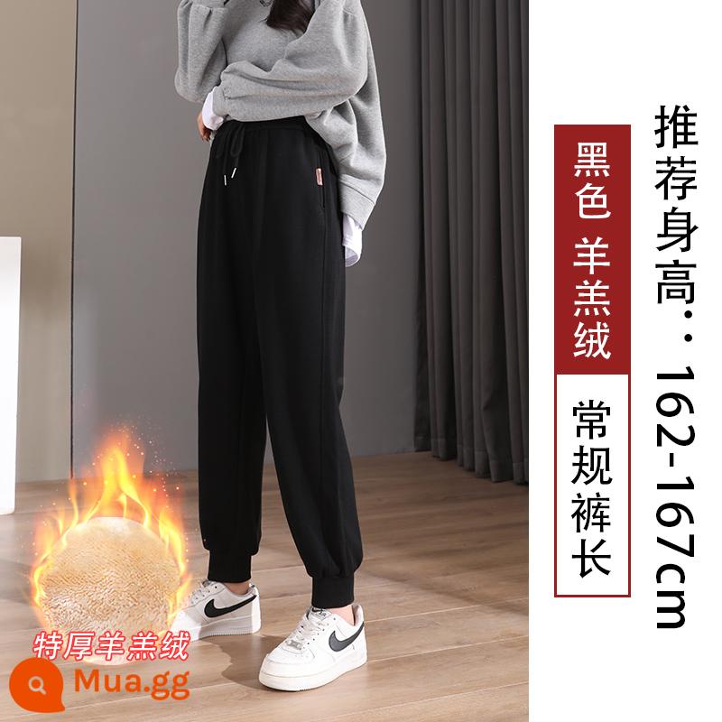 Quần legging màu đen dành cho nữ, xuân thu, dáng rộng và thon gọn, 2023 mới cỡ lớn cộng với nhung, quần cotton dày thường ngày mùa đông - Sherpa cực dày màu đen (thông thường)