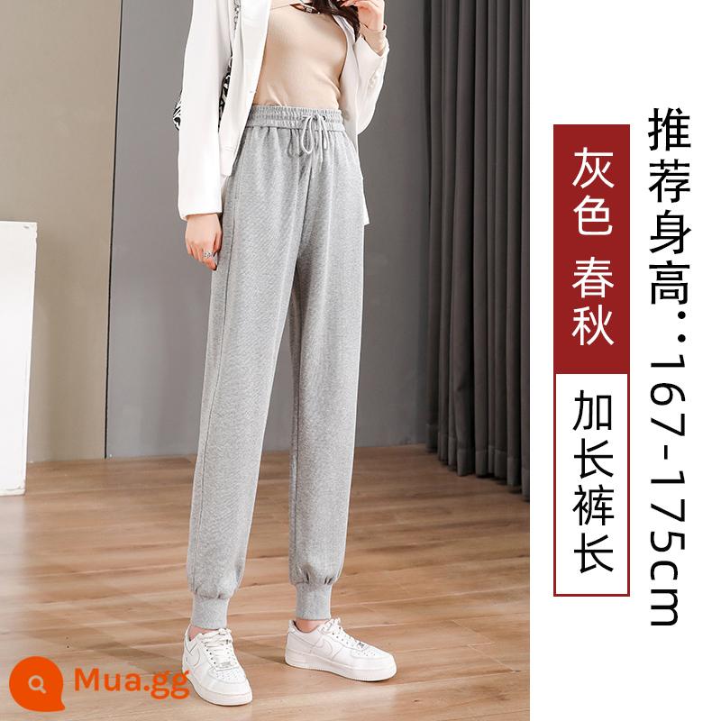 Quần legging màu đen dành cho nữ, xuân thu, dáng rộng và thon gọn, 2023 mới cỡ lớn cộng với nhung, quần cotton dày thường ngày mùa đông - Xám (mở rộng) Xuân Thu