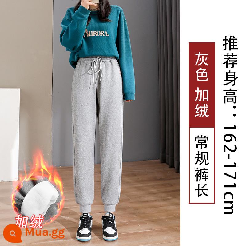 Quần legging màu đen dành cho nữ, xuân thu, dáng rộng và thon gọn, 2023 mới cỡ lớn cộng với nhung, quần cotton dày thường ngày mùa đông - Màu xám (thường) cộng với nhung