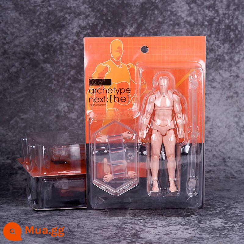 SHF Cơ Thể Cơ Thể Con Người Mô Hình Mô Hình Tranh Nghệ Thuật Tham Khảo Nam Nữ Dụng Cụ Trang Trí Hình Figma Khớp Di Động Búp Bê - 2.0 Màu da nam giới