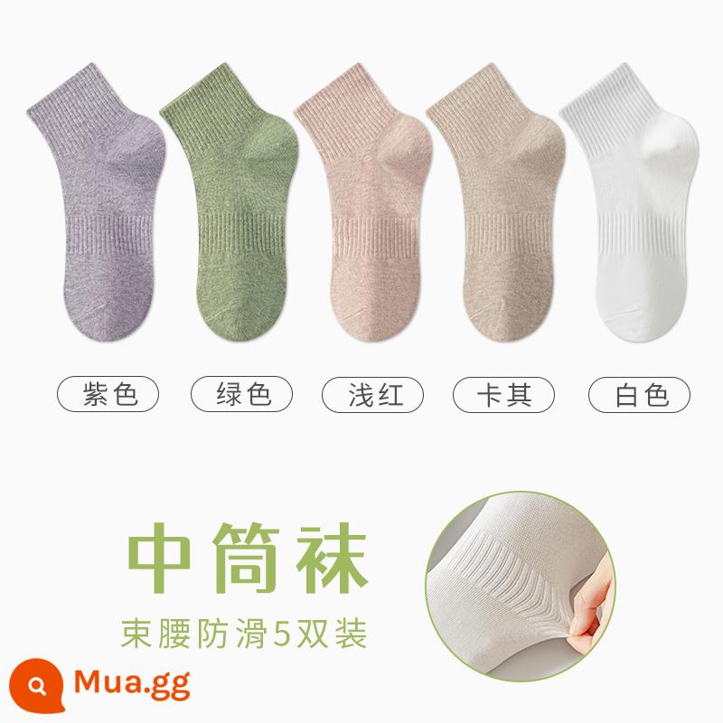 Tất Zhuji Vớ Nữ Giữa Ống Mỏng Mùa Hè Chất Liệu Cotton Nguyên Chất Khử Mùi Và Thấm Hút Mồ Hôi Xuân Thu Tất Trắng Không Xương Sau Sinh - "5 đôi" tím + xanh lá + đỏ nhạt + kaki + trắng