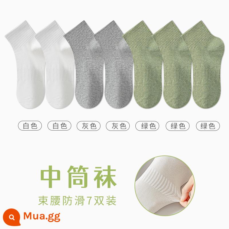 Tất Zhuji Vớ Nữ Giữa Ống Mỏng Mùa Hè Chất Liệu Cotton Nguyên Chất Khử Mùi Và Thấm Hút Mồ Hôi Xuân Thu Tất Trắng Không Xương Sau Sinh - "Bảy đôi" 2 đôi trắng + 2 đôi xám + 3 đôi xanh