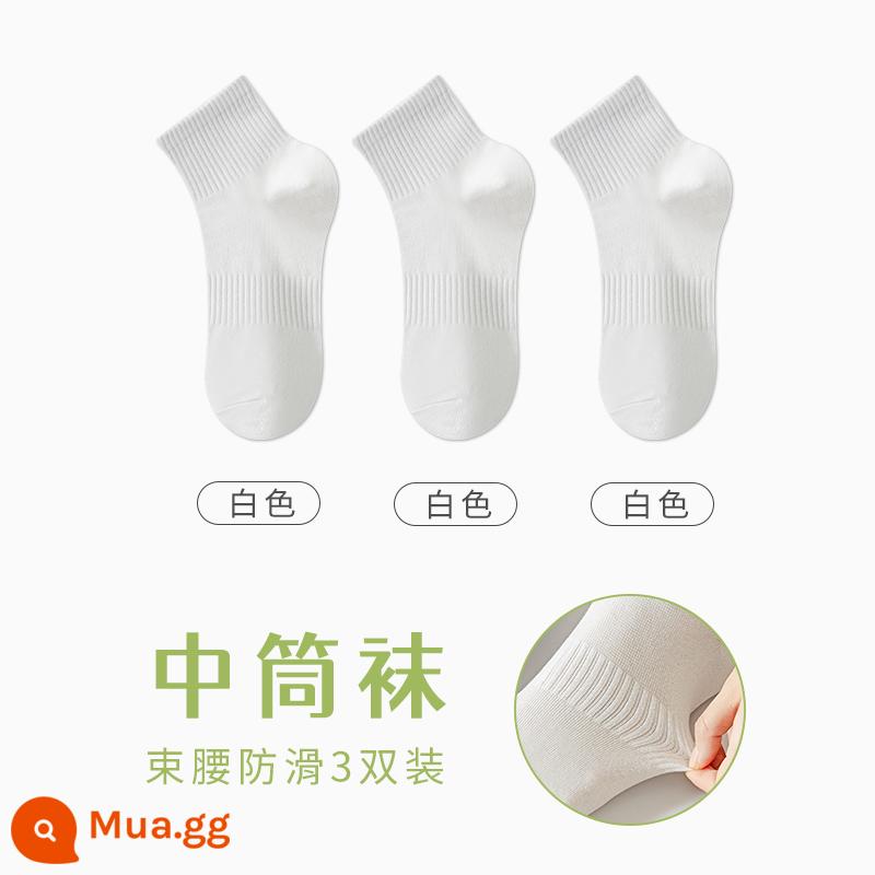 Tất Zhuji Vớ Nữ Giữa Ống Mỏng Mùa Hè Chất Liệu Cotton Nguyên Chất Khử Mùi Và Thấm Hút Mồ Hôi Xuân Thu Tất Trắng Không Xương Sau Sinh - "3 đôi" màu trắng