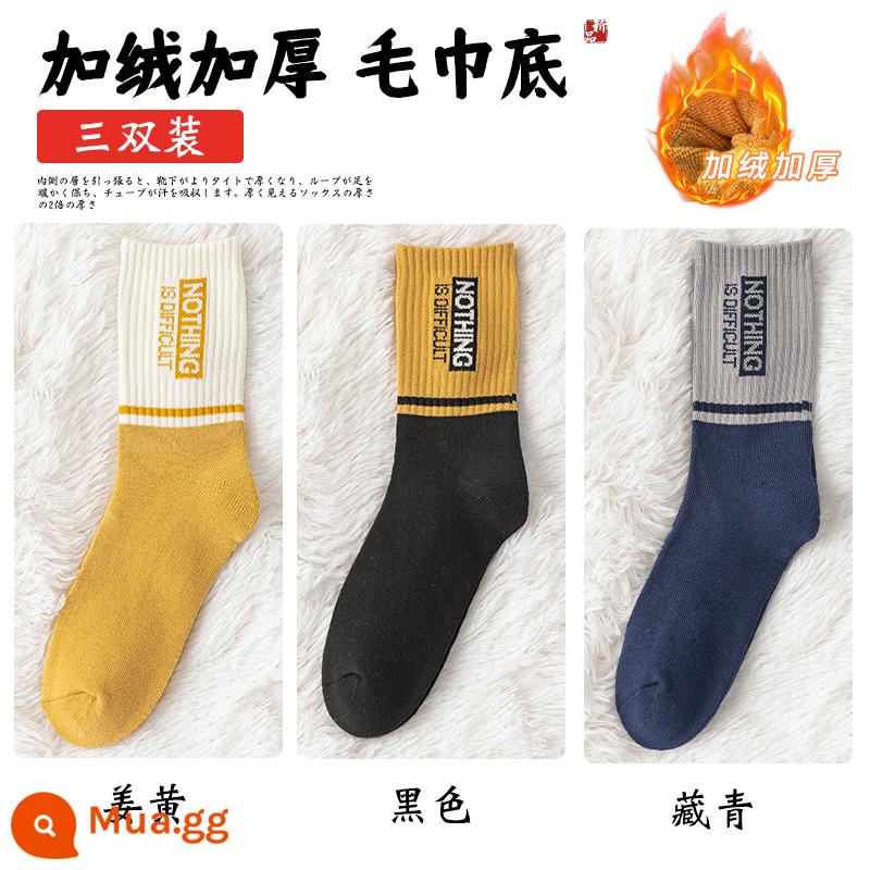 Vớ đồ nam giữa giữa những đôi tất nguyên chất - [3 Cặp] Nghệ + Đen + Navy