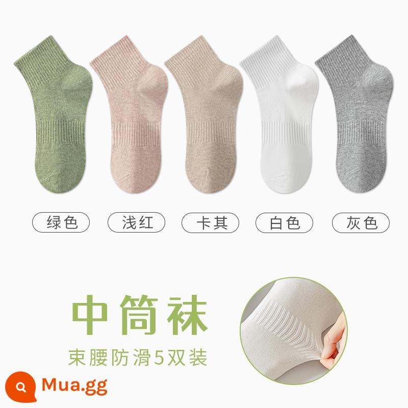 Tất Zhuji Vớ Nữ Giữa Ống Mỏng Mùa Hè Chất Liệu Cotton Nguyên Chất Khử Mùi Và Thấm Hút Mồ Hôi Xuân Thu Tất Trắng Không Xương Sau Sinh - "5 đôi" xanh + đỏ nhạt + kaki + trắng + xám