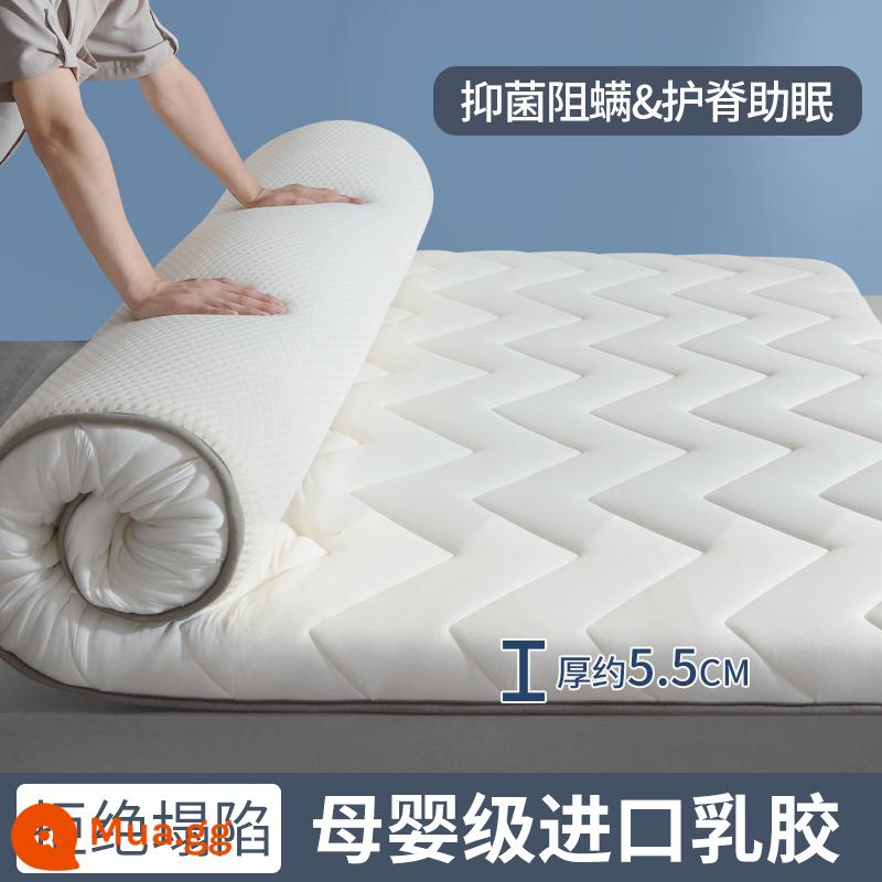 Nệm cao su đệm nhà tatami mat chăn dày ký túc xá sinh viên đơn miếng bọt biển cho thuê đặc biệt mat chăn - (Độ dày khoảng 5.5cm) Đậu nành loại M - trắng [loại mủ cao cấp + Vải kháng khuẩn cấp A]