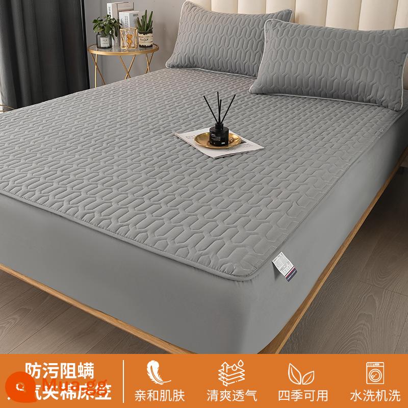 Ga trải giường chần bông trang bị đơn mảnh 2023 mới hợp thời trang cotton không nguyên chất bao gồm ga trải giường túi đệm giường bộ ga trải giường chống bụi - Màu xám nhạt [cố định chống trượt toàn diện 360°]