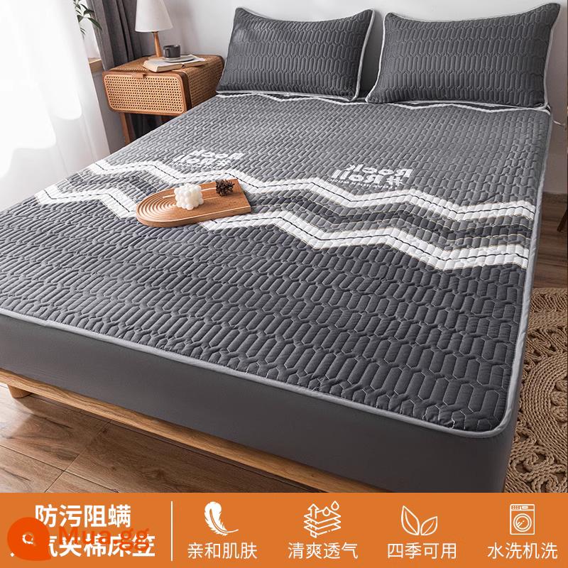 Ga trải giường chần bông trang bị đơn mảnh 2023 mới hợp thời trang cotton không nguyên chất bao gồm ga trải giường túi đệm giường bộ ga trải giường chống bụi - Nhạc sĩ [cố định chống trượt toàn diện 360°]