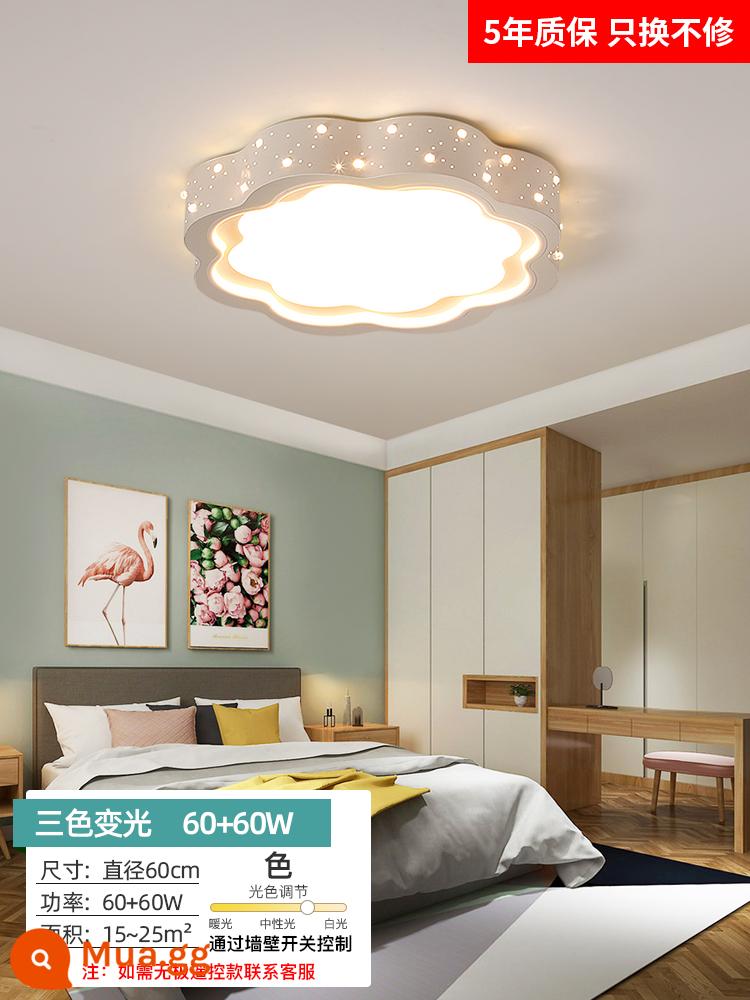 Đèn phòng ngủ 2022 Net Red Led LED trần -Phòng ngủ Đèn chiếu sáng Zhongshan Master Phòng ngủ Trang trí ánh sáng Đèn tối giản hiện đại - Fantasy 60cm ba màu↑phiên bản nâng cấp 60w