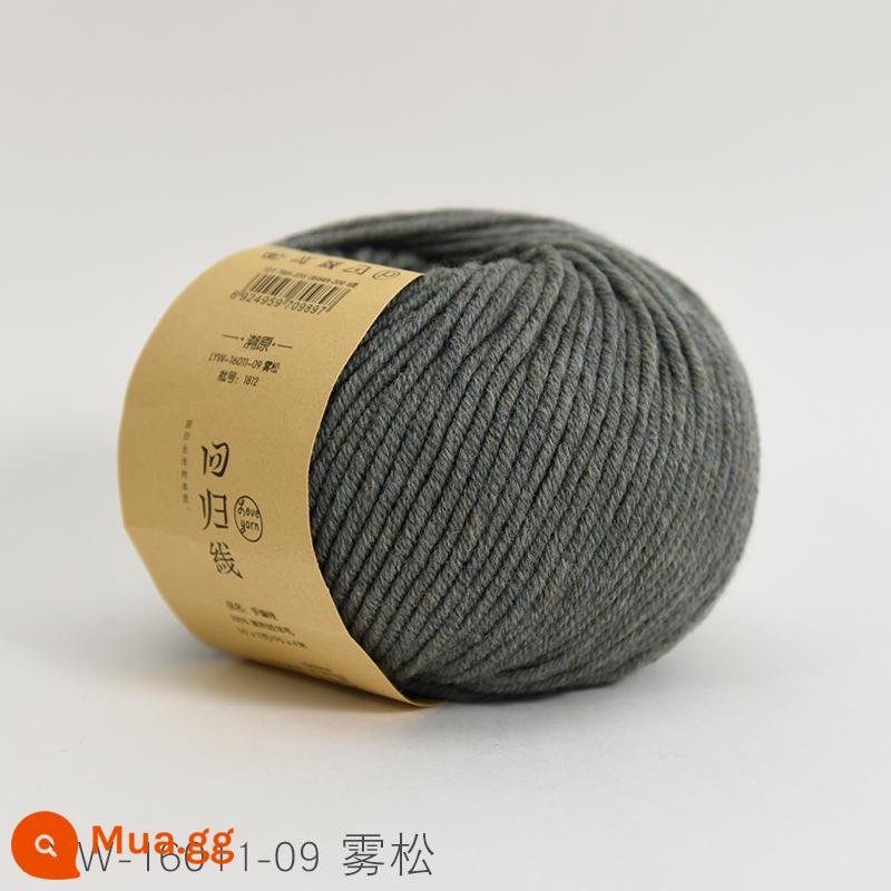 Dòng hồi quy dấu vết trở lại sợi len nguyên chất Merino nguyên chất dày vừa handmade tự làm que kim đan len khăn len bóng - Số 09 - Vũ Tòng