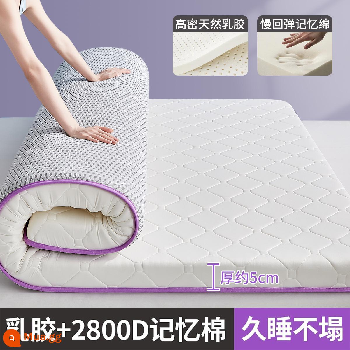 Nệm cao su ký túc xá sinh viên chuyên dụng 90x190 cm nhà đơn đệm phòng ngủ ký túc xá đại học trường trung học - Sức Sống Tím❤ Dày Khoảng 5cm