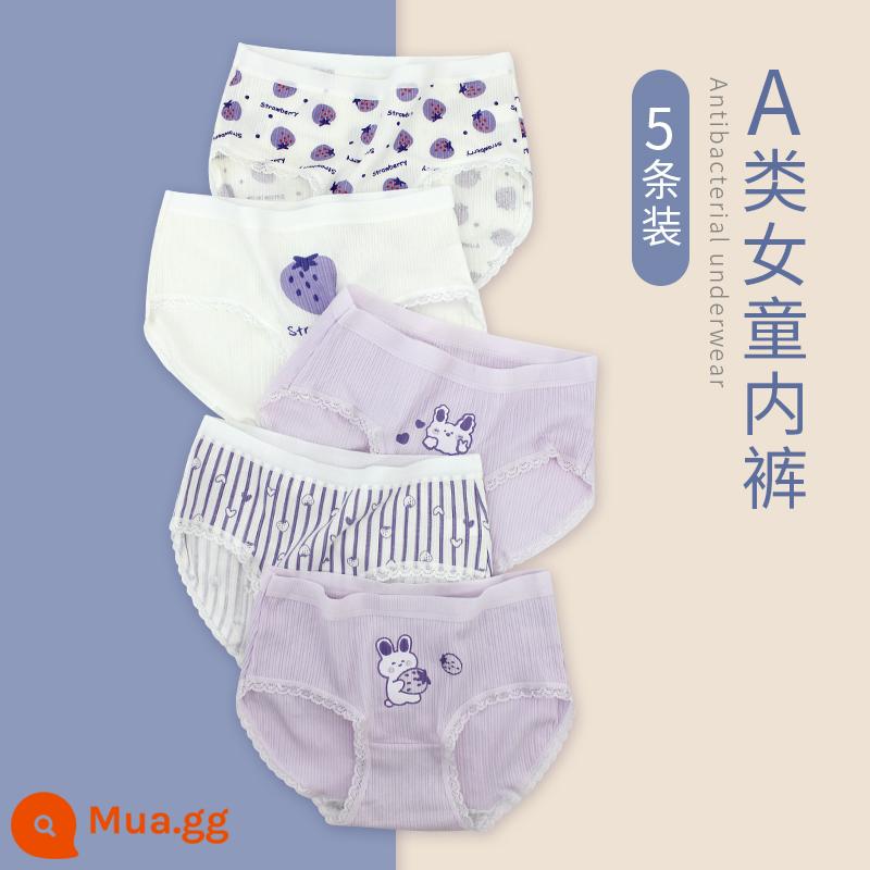 Quần lót bé gái, quần sịp cotton trẻ em, quần sịp cotton bé gái lớn, quần lót bé gái, quần an toàn học sinh pp, quần short - 9988[5 gói]