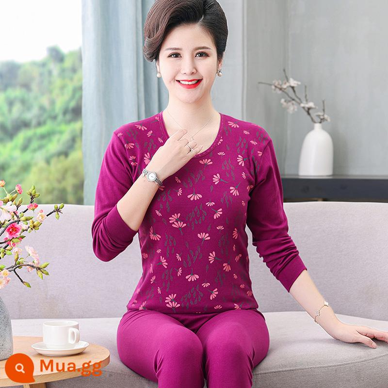 Trung niên và người cao tuổi quần áo mùa thu vệ sinh quần cotton nguyên chất của phụ nữ phù hợp với mẹ kích thước lớn sưởi ấm quần áo nam cao tuổi áo len cotton - 307 cát tím đỏ cổ tròn