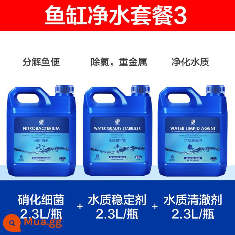 Ổn định chất lượng nước bể cá đặc biệt khử clo đại lý hồ cá nước máy khử clo ổn định nước nuôi cá nguồn cung cấp máy lọc - Gói lọc nước 2.3L ba