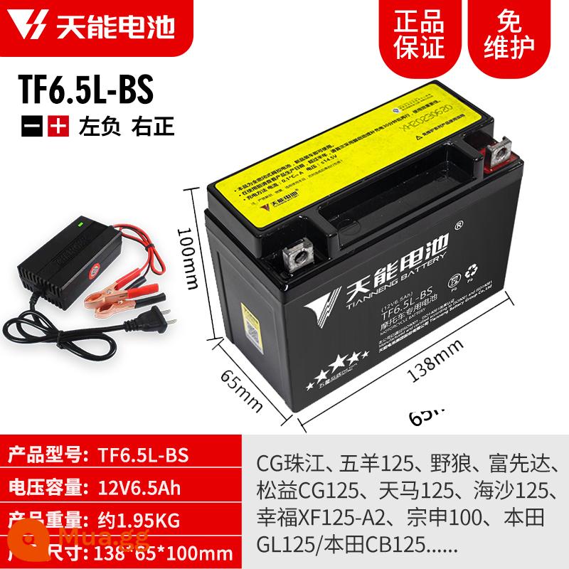 Pin xe máy Tianneng 12V5AH7AH9AH Pin dung lượng lớn Pin phổ thông Yamaha - 12V6.5AH-TF6.5L (bao gồm bộ sạc)