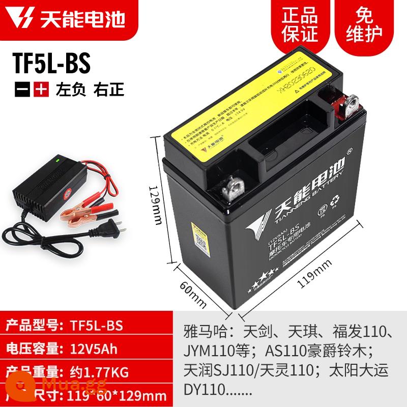 Pin xe máy Tianneng 12V5AH7AH9AH Pin dung lượng lớn Pin phổ thông Yamaha - 12V5AH-TF5L (bao gồm bộ sạc)