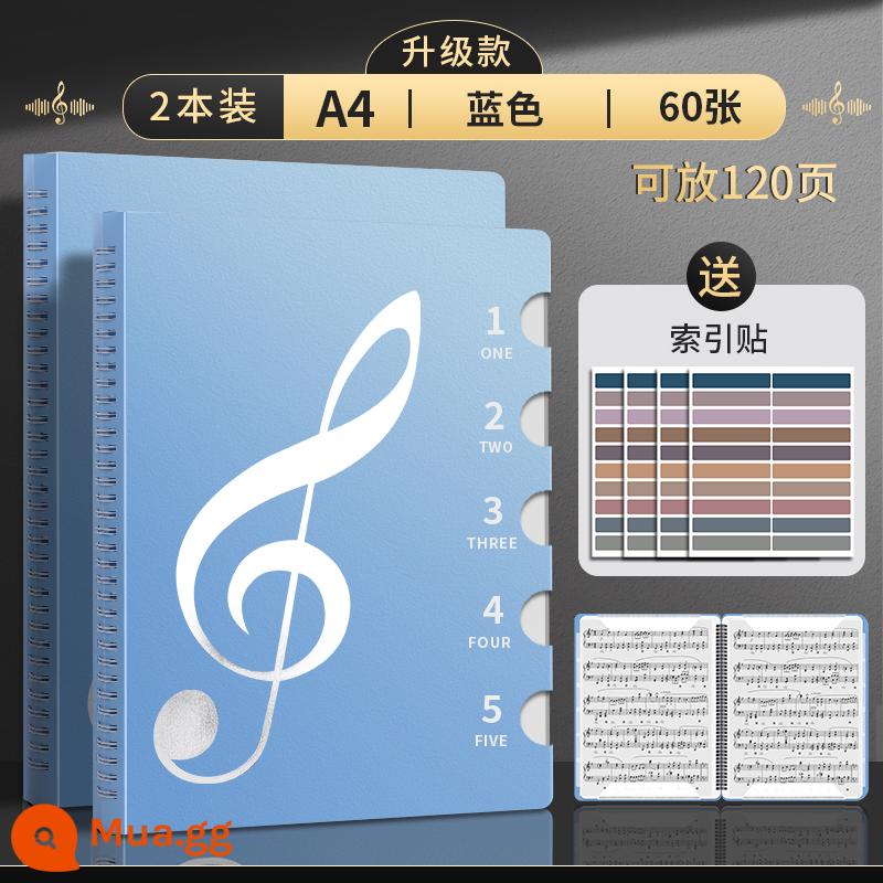 Thư mục kẹp bản nhạc màu đen không phản chiếu có thể được sửa đổi trong suốt chèn trống đàn piano thư mục bản nhạc dạng mở rộng nhạc mở rộng loại lưu trữ sách điệp khúc bản nhạc bản nhạc bản nhạc - [2 bộ] Tổng cộng đã nâng cấp lên A4/xanh/60 tờ/có thể chứa 120 trang, bao gồm nhãn dán mục lục