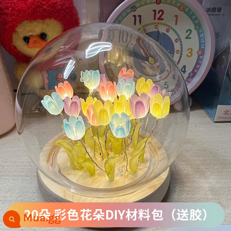 Đèn ngủ hoa tulip khung ảnh handmade tự làm chất liệu hoa vĩnh cửu trang trí cho bạn gái quà tặng sinh nhật bạn gái - Màu sắc [20 bông hoa] Kiểu giá đỡ đèn