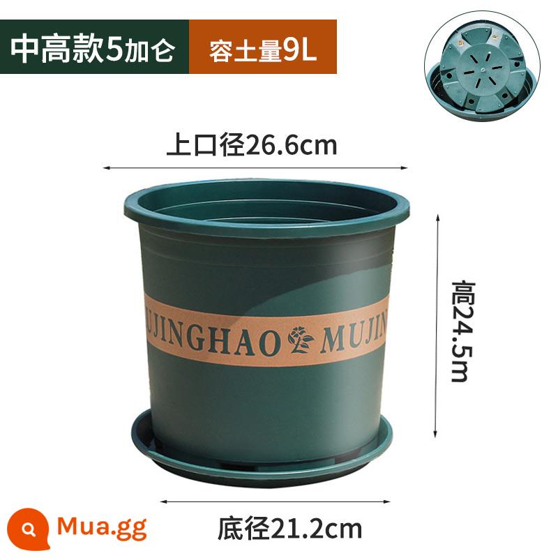 Chậu gallon dày thế hệ thứ hai mới cho ban công ngoài trời hộ gia đình chậu hoa nho vàng hồng chậu hoa nhựa in lớn - 5 gallon (đường kính 26,6CM) 3 nồi