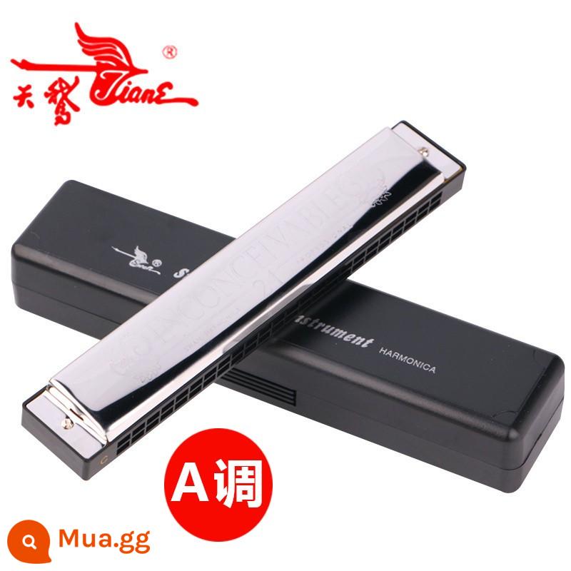 Bộ kèn harmonica đa âm 24 lỗ thiên nga chơi chuyên nghiệp 7 giai điệu/12 giai điệu ABCDEFGA#C#D#F#G#tune hộp quà tặng - Quà tặng đa âm A+ 24 lỗ