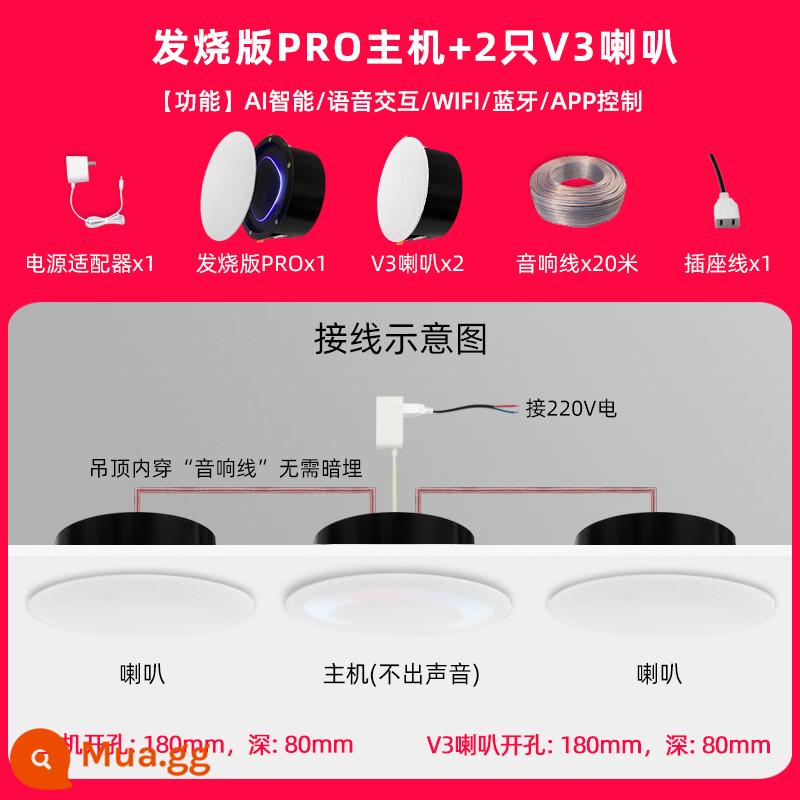 Phiên bản gây sốt tùy chỉnh Loa trần thông minh điều khiển bằng giọng nói Xiaoai PRO Loa Bluetooth yêu cầu bài hát nhà thông minh - Fever Xiaoai PRO+2 V3 kèm loa hộp