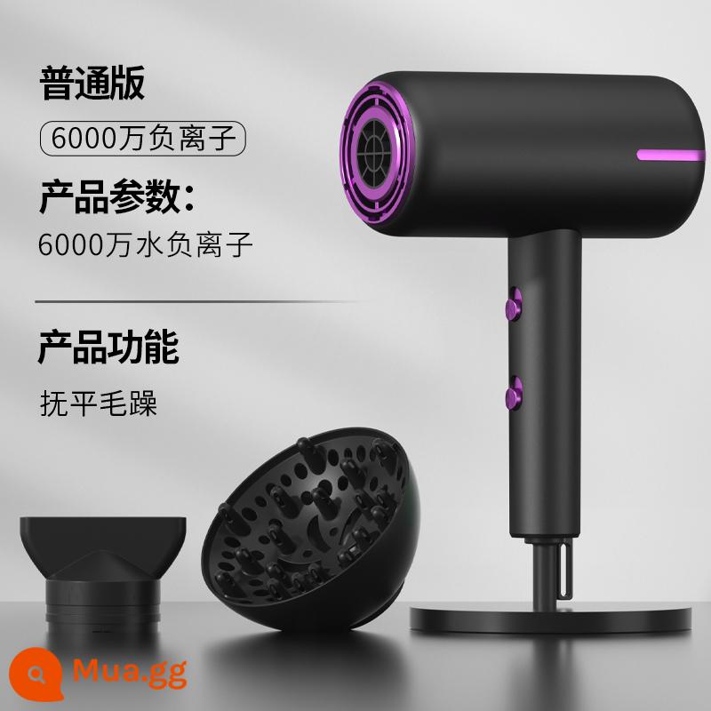 Salon tóc máy sấy tóc hộ gia đình công suất cao 3000W tiệm cắt tóc ion âm chăm sóc tóc xi lanh gió nóng lạnh tắt tiếng - Nhập khẩu chính hãng - 60 triệu ion âm - 3000 màu xám