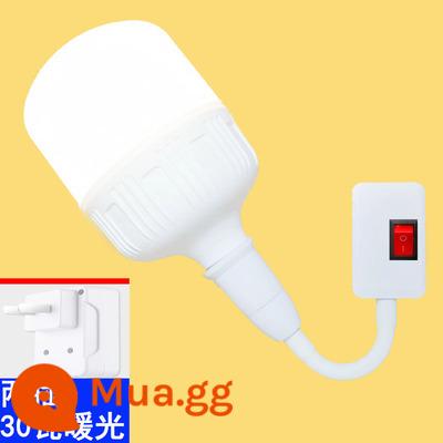 Đèn cắm LED hai hoặc ba phích cắm có công tắc cắm thẳng siêu sáng ánh sáng lấp đầy trực tiếp tiết kiệm năng lượng mẫu làm móng gương thêu trang điểm - Giá đỡ đèn hai phích cắm + đèn ấm 30 watt