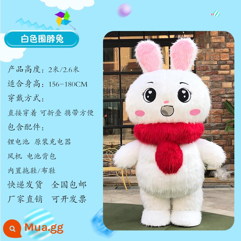 Mạng quần áo búp bê hoạt hình Panda Panda Red doumyin Polar Polar Performance Hiệu suất hiệu suất - Khăn quàng đỏ 2 mét thỏ trắng