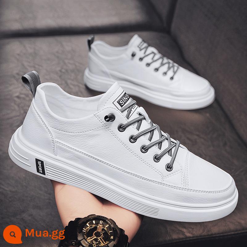 Giày Nam Mùa Hè 2023 Mùa Xuân Mới Tất Nam Giày Da Thể Thao Sneaker Sneaker Trắng Giày Hợp Thời Trang - Trắng [phong cách thời trang]