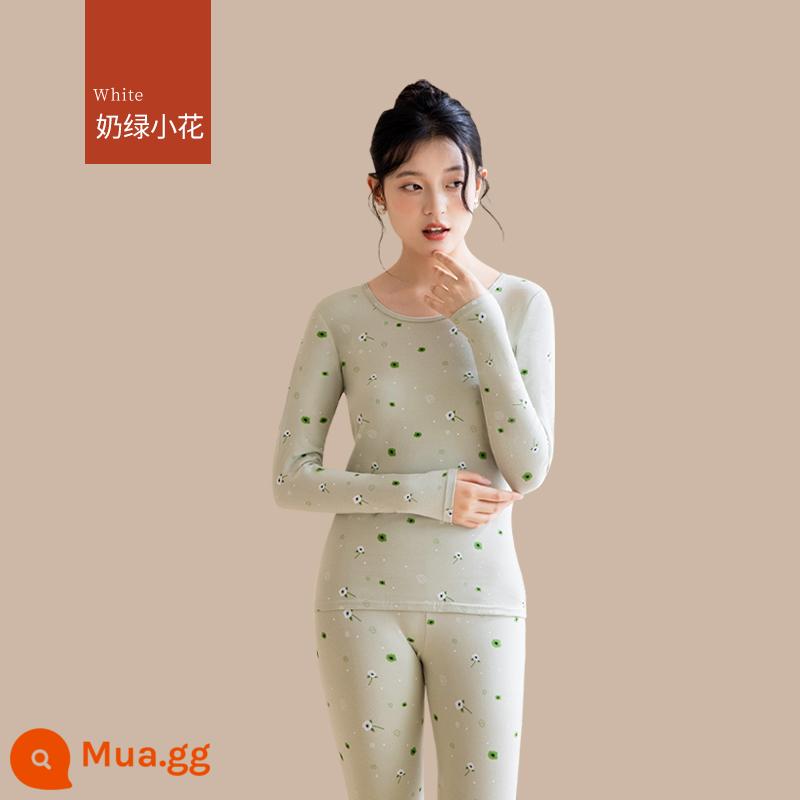 Quần áo sưởi ấm cho nữ, quần áo mùa thu, bộ quần vệ sinh, cotton nguyên chất, kiểu dáng mới, nhung, áo lót dày, áo len cotton, mùa thu đông - [Bộ đồ in] Hoa xanh sữa (cotton hữu cơ, ấm hơn)