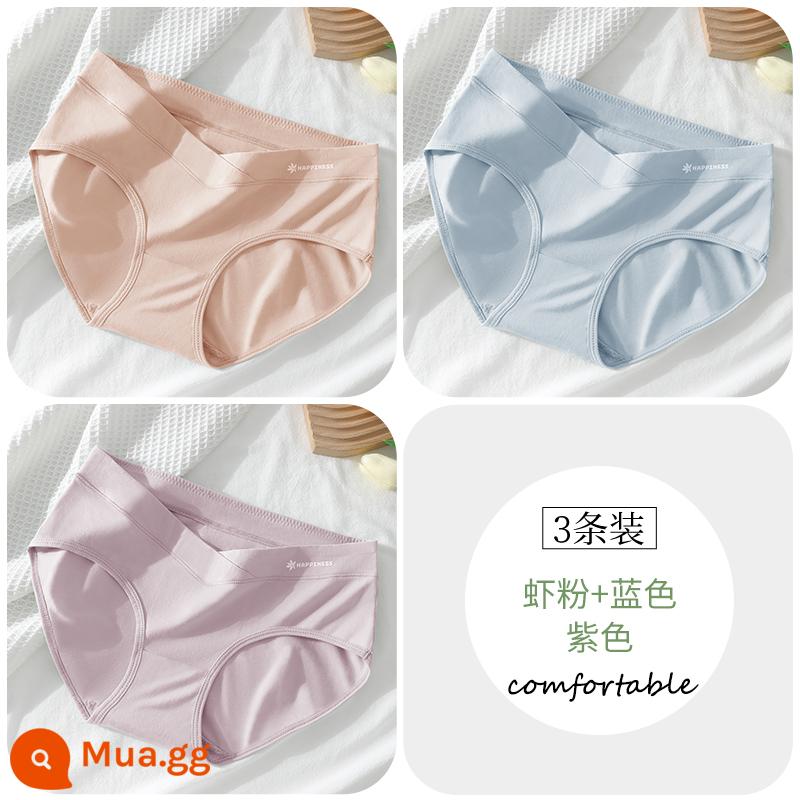 Quần lót bà bầu cotton đáy quần cotton kháng khuẩn đặc biệt eo thấp hỗ trợ bụng quần đùi cỡ lớn mùa hè phần mỏng trong giai đoạn đầu, giữa và cuối thai kỳ - [3 gói] Bột tôm + xanh + tím