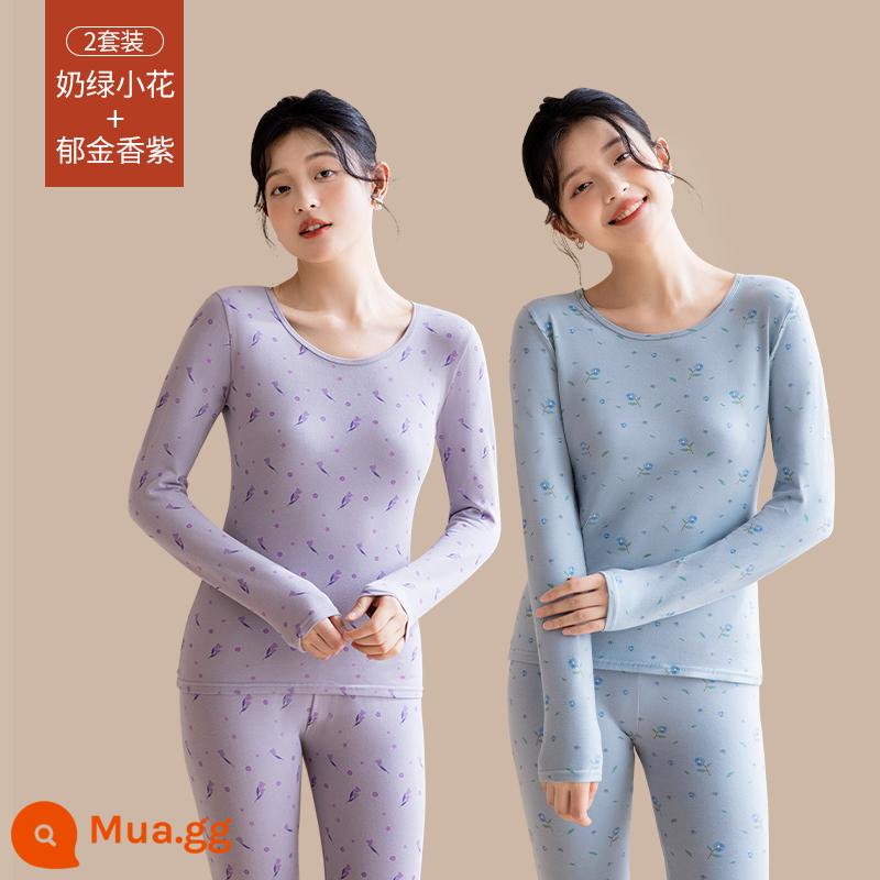 Quần áo sưởi ấm cho nữ, quần áo mùa thu, bộ quần vệ sinh, cotton nguyên chất, kiểu dáng mới, nhung, áo lót dày, áo len cotton, mùa thu đông - [Bộ 2 kiểu in] Tím Tulip + Xanh Enchantress (Bông nguyên chất hữu cơ ấm hơn)