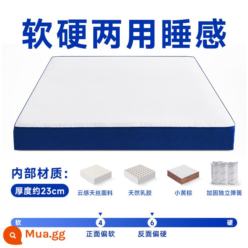 Seahorse Romance Super Blue Box Memory Foam Box Nệm Simmons Cao Su Nén Mềm Lò Xo Khách Sạn Năm Sao - Cả mềm và cứng (độ dày khoảng 23cm)