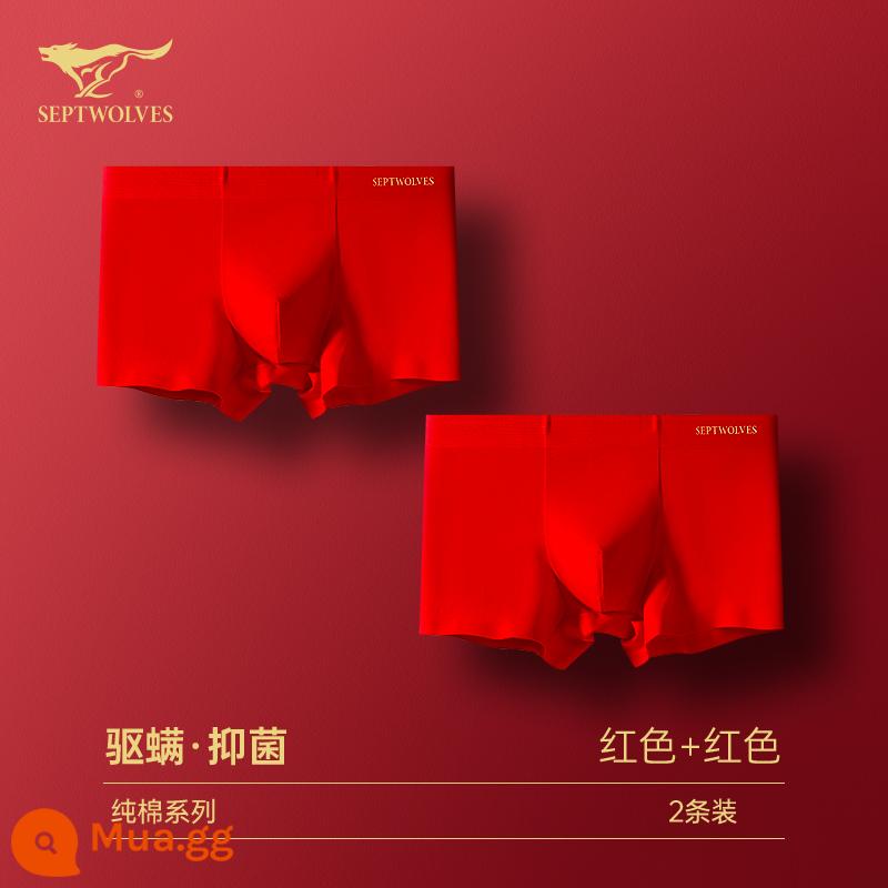 Seven Wolf Men Đồ lót tinh khiết Binjun Boys Big Red Flat -angle Tridruple Short Quần đầu là Quà tặng đám cưới Thỏ - [Mẫu lớn màu đỏ, chống mạt và kháng khuẩn, không dấu vết] Đỏ lớn x2