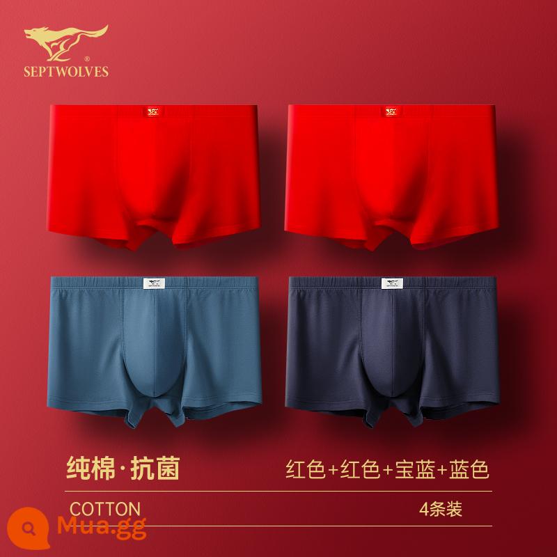 Seven Wolf Men Đồ lót tinh khiết Binjun Boys Big Red Flat -angle Tridruple Short Quần đầu là Quà tặng đám cưới Thỏ - [Kết hợp hỗn hợp màu đỏ kháng khuẩn cotton nguyên chất] Đỏ lớn * 2 + xanh sapphire + xanh