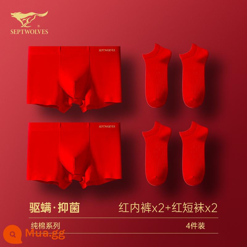 Seven Wolf Men Đồ lót tinh khiết Binjun Boys Big Red Flat -angle Tridruple Short Quần đầu là Quà tặng đám cưới Thỏ - [Phong cách màu đỏ lớn·Kết hợp may mắn] Đồ lót màu đỏ x2 + tất đỏ x2