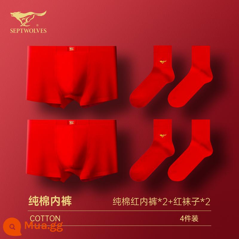 Seven Wolf Men Đồ lót tinh khiết Binjun Boys Big Red Flat -angle Tridruple Short Quần đầu là Quà tặng đám cưới Thỏ - [Cotton nguyên chất kháng khuẩn·kết hợp tất đỏ] đồ lót màu đỏ*2+tất đỏ*2