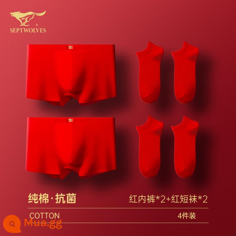 Seven Wolf Men Đồ lót tinh khiết Binjun Boys Big Red Flat -angle Tridruple Short Quần đầu là Quà tặng đám cưới Thỏ - [Cotton nguyên chất kháng khuẩn·kết hợp tất đỏ] đồ lót màu đỏ*2+tất đỏ*2