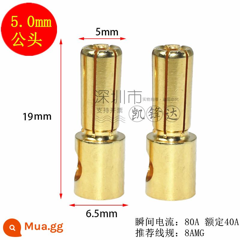 Mô hình máy bay bằng đồng nguyên chất mạ vàng đầu chuối 2.0/3.0/4.0/5.0/6.0/8.0mm động cơ điện tử thống đốc phích cắm đặc biệt - 10 đầu đực 5.0mm