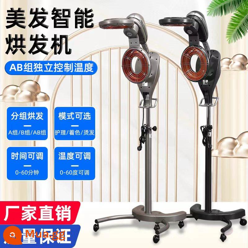 Mới Salon Tóc Thông Minh Nóng Cơ Chế Sấy Làm Tóc Nóng Lạnh Uốn Tạo Kiểu Dầu Uốn Máy Tự Động Đặc Biệt - Một