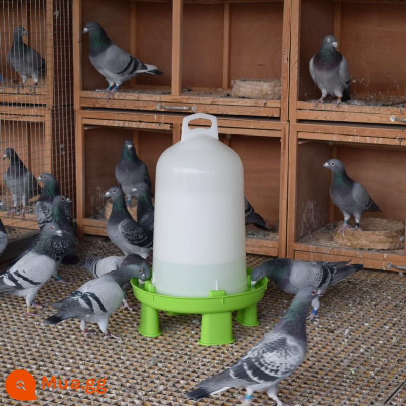 Bình nước uống Pigeon Ấm siêu tốc Pigeon Đồ dùng cho Pigeon Racing Pigeon Ấm siêu tốc Pigeon Dụng cụ Chậu rửa gà Nồi miệng lớn - Đài phun nước xanh mới 8 lít (thêm nước lên trên)