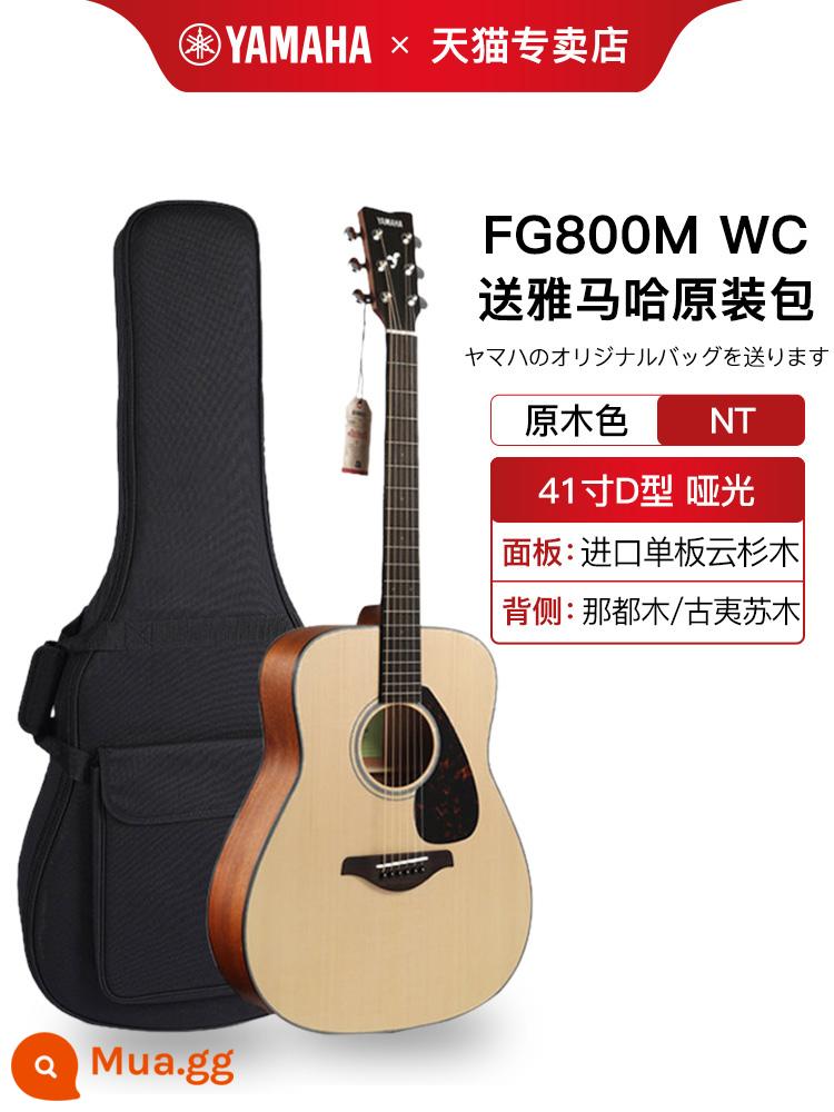 Chính hãng YAMAHA Yamaha fg800 đơn bảng dân gian đàn guitar acoustic mới bắt đầu hộp điện sinh viên nam và nữ 41 inch 40 - FG800M WC màu gỗ mờ + [gói quà tặng chính hãng] 41 inch